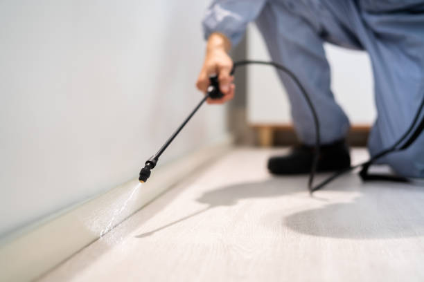 Licensed Pest Control service in McKinley, PA - Show Me Pest Control