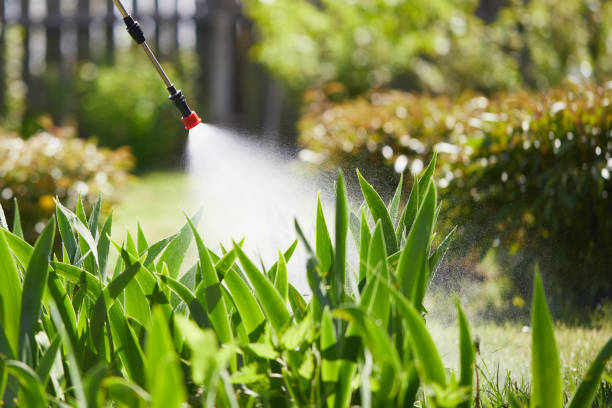24/7 Emergency Mosquito Control experts in McKinley, PA